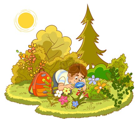 Téléchargez les illustrations : Curieux garçon examinant les plantes et la nature avec une illustration vectorielle de loupe - en licence libre de droit
