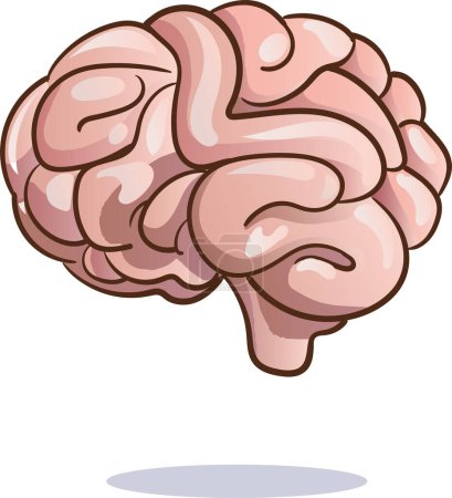 Ilustración de Cerebro de dibujos animados vector icono de diseño. ilustración aislada sobre fondo blanco - Imagen libre de derechos