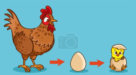 Illustration for Vector illustration of egg turning into chicken - Royalty Free Image