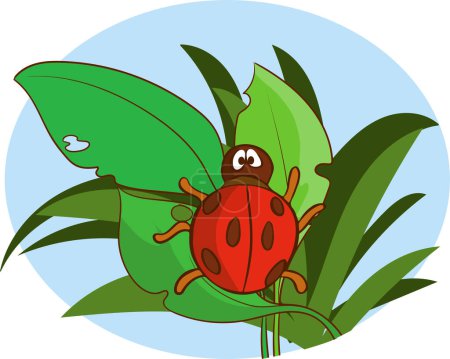 Photo for Vector illustration of a cute ladybug - Royalty Free Image
