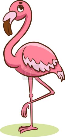 Illustration for Vector illustration of pink flamingo standing on its hind legs - Royalty Free Image