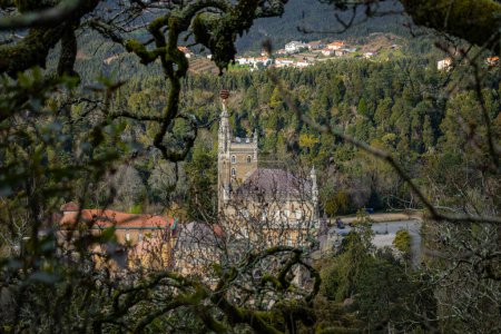 Téléchargez les photos : Vue du palais Bussaco depuis le sommet dans la forêt antique magique de Bussaco, conte de fées arbres verts enchantés - en image libre de droit