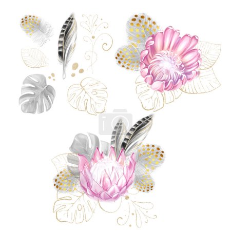 A set of watercolor tropical bouquets of pink protea, golden monstera and black feathers. Romantic flowers. exotic design. luxury clipart.