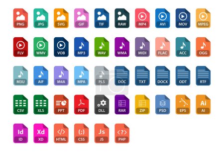 File types icon vector illustration