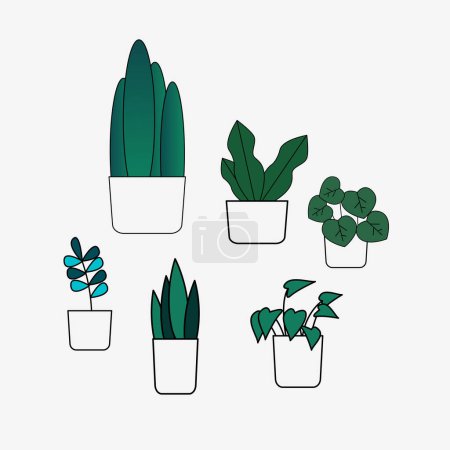 Illustration for Set of plants growing in pots - Royalty Free Image