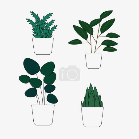 Illustration for Set of plants growing in pots - Royalty Free Image