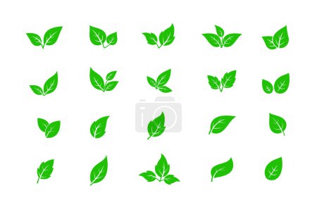Set of green leaf icons. Leaves icon. Leaves of trees and plants. Collection green leaf