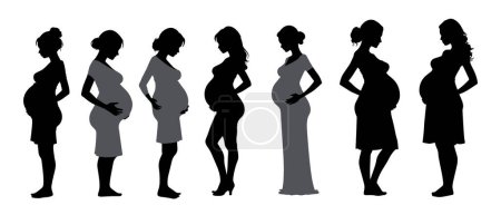 Illustration for Beautiful pregnant woman silhouette on white background - Royalty Free Image