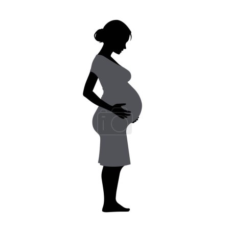 Illustration for Beautiful pregnant woman silhouette on white background - Royalty Free Image