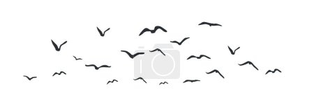 Group of flying birds flock silhouettes, a flock of flying birds