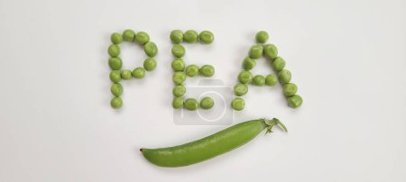 Photo for The word pea is derived from peas on white background. Pisum sativum. Close-up of fresh, vibrant green pea pods bursting with young peas, beautifully arranged on a white background. These tender and nutritious legumes are a true summer delight - Royalty Free Image