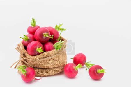 Photo for Organic radishes in burlap bags Colorful salad ingredients on white - Royalty Free Image