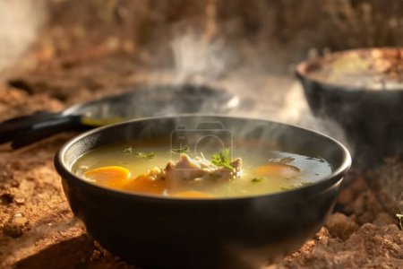 Foto de Sopa de pollo caliente irresistible capturada en luz natural - Imagen libre de derechos