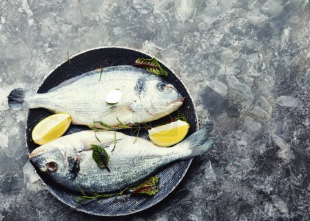 Photo for Uncooked dorado fish, a raw seafood shot - Royalty Free Image
