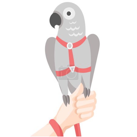 Téléchargez les illustrations : Perroquet gris en harnais rouge et laisse sur la main humaine illustration vectorielle - en licence libre de droit