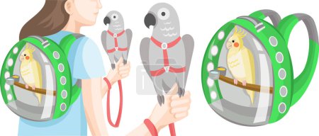 Illustration for Parrot outdoor walk set: Girl with parrots in bird backpack and harness with leash; Grey parrot in red harness and leash on human hand; ockatiel parrot in transparent green backpack - vector images - Royalty Free Image