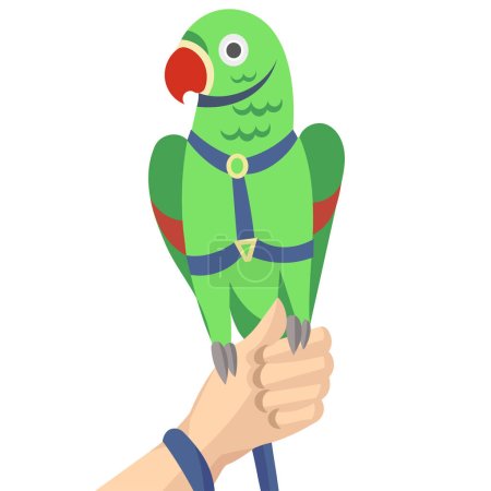 Illustration for Green rose-ringed parakeet  parrot; ring-necked parakeet; Indian ringneck parrot in harness and leash on human hand - vector illustration - Royalty Free Image