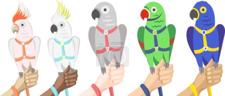 Illustration for Collection of various parrots in harness and leash on human hand (different skin colors) - vector illustration - Royalty Free Image