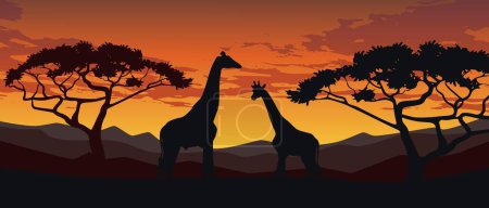 Photo for The Best Savannah Landscape Sunset Vector Illustration With Two Giraffe. Savannah Landscape Sunset Background Illustration. - Royalty Free Image