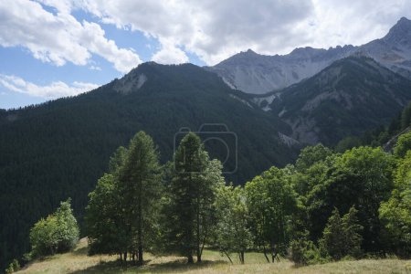 Foto de Exuberantes montañas sobre la perla Bardonecchia de los Alpes piamonteses en Val Susa. Foto de alta calidad - Imagen libre de derechos