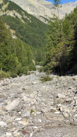 Foto de Un paisaje natural con un curso de agua que fluye a través de montañas, árboles y rocas. El río está rodeado de tierra cubierta de plantas y lecho rocoso - Imagen libre de derechos