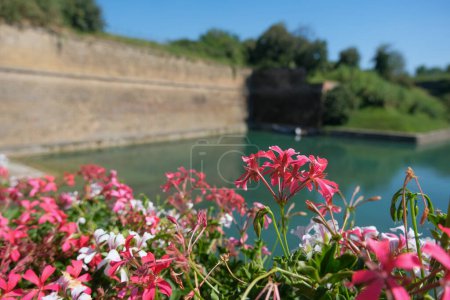 Wassergraben um die Mauern von Peschiera del Garda an einem sonnigen Tag. Hochwertiges Foto