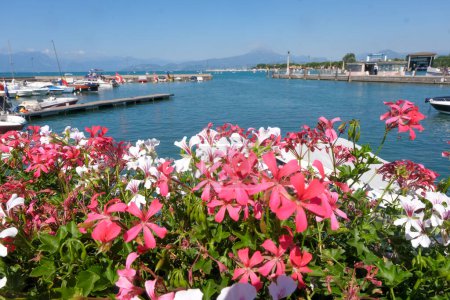 Desenzano del Garda, panorama of the port with flowers. High quality photo