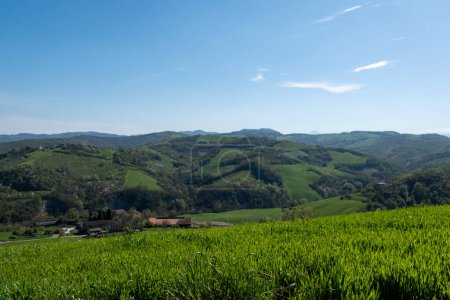 grüne Hügel im Frühling des toskanisch-emilianischen Apennins. Hochwertiges Foto