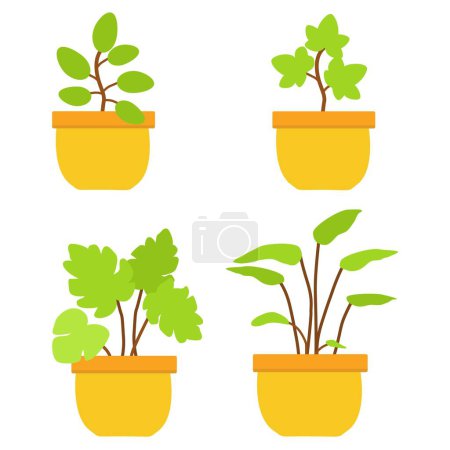 Photo for Plant illustrations, different plants with leaves - Royalty Free Image