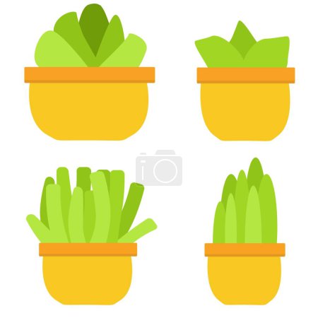 Photo for Plant illustrations, different succulents - Royalty Free Image