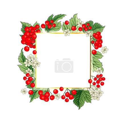 Ilustración de Viburnum rowan rojo berry vector marco rústico ramo de flores ilustración. Diseño de saludo de boda, bosque fresco y cosecha de jardín. - Imagen libre de derechos