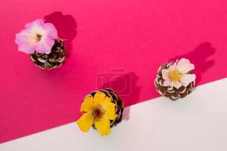 Photo for Little summer flowers on the pinecones.  combination of pink and white background minimal creative concept flat lay - Royalty Free Image