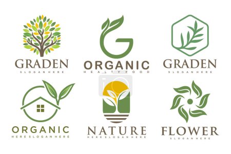 natürliche produkt icon set logo design