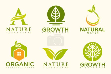 Téléchargez les photos : Ensemble de modèles et d'icônes de logo de produits naturels et biologiques modernes - en image libre de droit