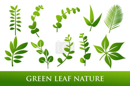 Zestaw zielonych liści logo projektu ikony wektorowe inspiracji