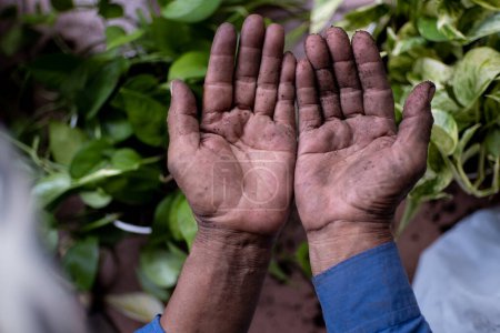 Foto de Cercano jardinero mano masculina. Trabajador duro - Imagen libre de derechos