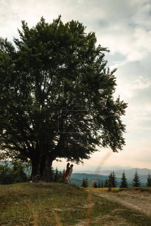 Photo for A couple sits on a bench by a big old beech tree with a view of the carpathians mountains - Royalty Free Image