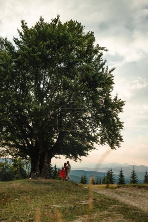 Photo for A couple stands under a big old beech tree with a view of the carpathians mountains and the sunset - Royalty Free Image