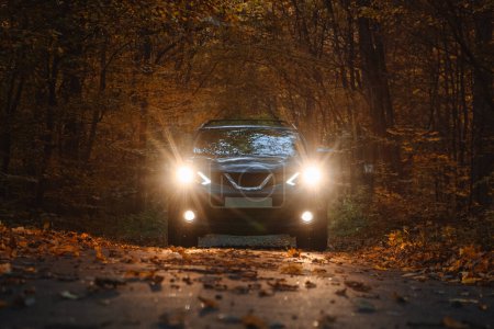Téléchargez les photos : Voiture avec phares sur la route avec des arbres d'automne - en image libre de droit