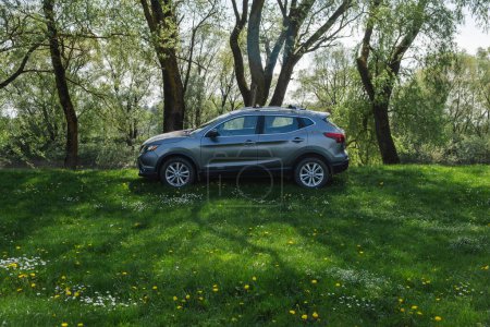 Téléchargez les photos : Une voiture grise garée sur une pelouse verte - en image libre de droit