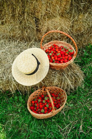 Erdbeeren im Korb und Strohhut bei der Heuernte