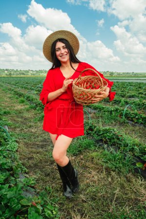 Atemberaubende Frau im roten Kleid pflückt Erdbeeren zur Erntezeit auf dem Bauernhof