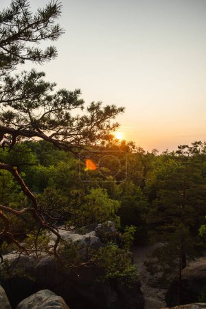 Téléchargez les photos : Vue sur le coucher du soleil au-dessus de la forêt dans les montagnes carpates copier l'espace - en image libre de droit