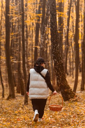 Téléchargez les photos : Femme dans la forêt d'automne à la recherche de champignons dans la forêt d'automne par derrière - en image libre de droit