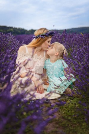 Téléchargez les photos : Maman embrasse sa fille pique-nique familial sur un champ de lavande - en image libre de droit