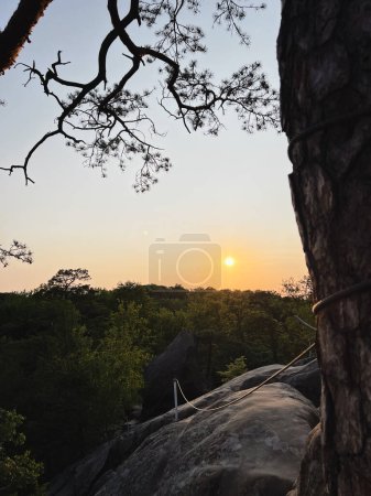 Téléchargez les photos : Vue sur le coucher du soleil au-dessus de la forêt dans les montagnes carpates copier l'espace - en image libre de droit
