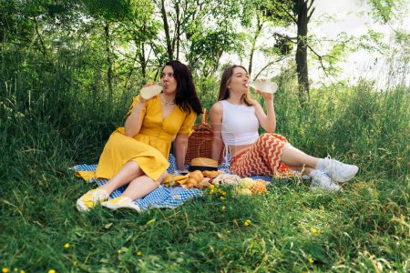 Téléchargez les photos : Deux amis boivent de la limonade sur une couverture bleue pour pique-niquer dans la nature - en image libre de droit