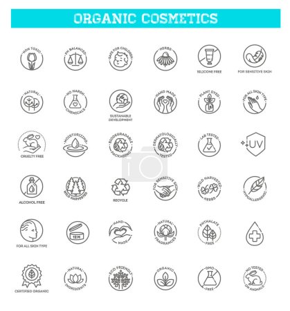 Téléchargez les illustrations : Cosmétiques naturels biologiques. Symboles alimentaires végétaliens - en licence libre de droit