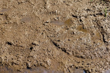 Foto de La textura del barro o el suelo húmedo como fondo - Imagen libre de derechos