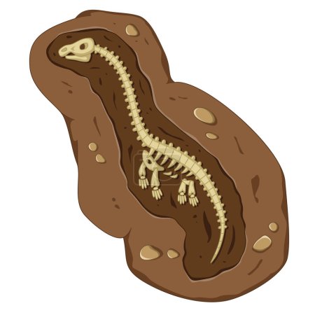 Ilustración de Ilustración fósil detallada de dinosaurios con estilo de ilustración de dibujos animados - Imagen libre de derechos